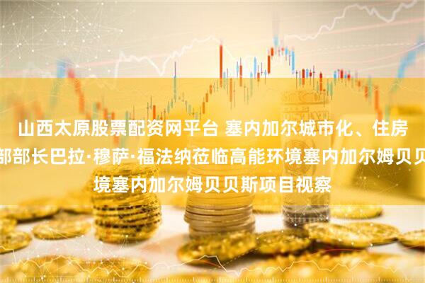 山西太原股票配资网平台 塞内加尔城市化、住房和公共卫生部部长巴拉·穆萨·福法纳莅临高能环境塞内加尔姆贝贝斯项目视察